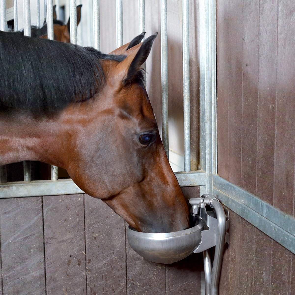 F130 INOX Stainless steel drinking bowl with T fitting